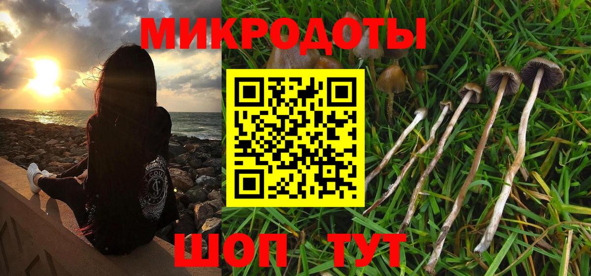 Галлюциногенные грибы мухоморы Комсомольск-на-Амуре