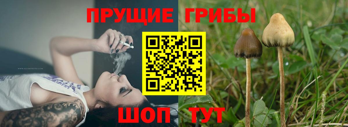 Псилоцибиновые грибы Psilocybe  Псилоцибиновые грибы MAGIC MUSHROOMS  Комсомольск-на-Амуре  Вход с VPN 